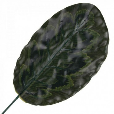 Liść Pawi Zielony/Bordo 42cm