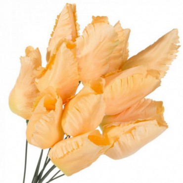 Tulipany Główki I Druciki J.Pomarańcz 12szt