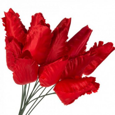 Tulipany Główki I Druciki Czerwony 12szt