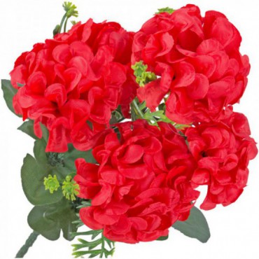 Chryzantema Bukiet Kwiatów Czerwonych