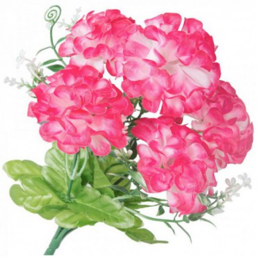 Hortensja Bukiet Różowych Kwiatów