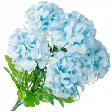 Hortensja Bukiet Niebieskich Kwiatów