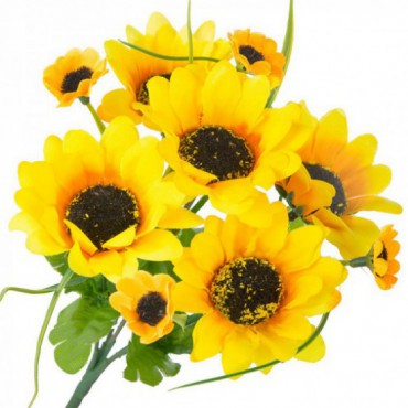 Słoneczniki Bukiet Żółtych Kwiatów