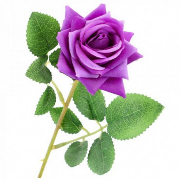Róża Łodyga Z Listkami Fiolet