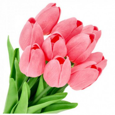 Tulipany 10szt Ciemny Róż