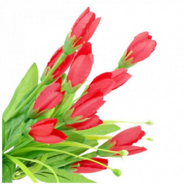 Bukiet Tulipanki Czerwone KR330C