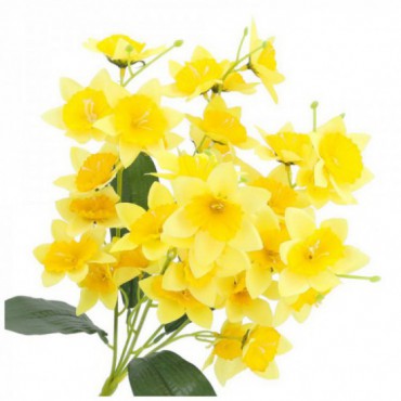 Żonkile Żółte Bukiet Kwiatów I Liści