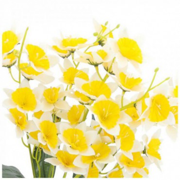 Żonkile Ecru-Żółte Bukiet Kwiatów I Liści
