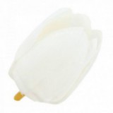 Główki Tulipana 12szt Białe