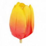 Główki Tulipana 12szt Żółty-Pomarańcz