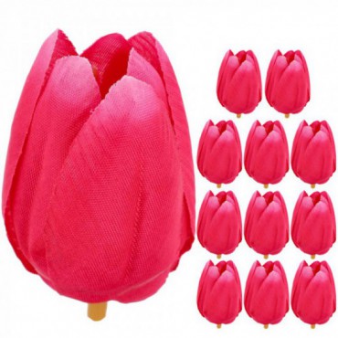 Główki Tulipana 12szt Amarant