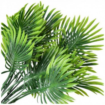 Gałązka Palmy Uzupełniająca Zielony KR371B