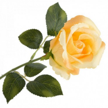 Gałązka - Róża Żółta
