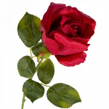 Gałązka - Róża Czerwona Listki